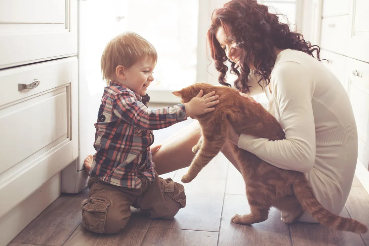 10 signes qui prouvent que votre chat vous aime profondément