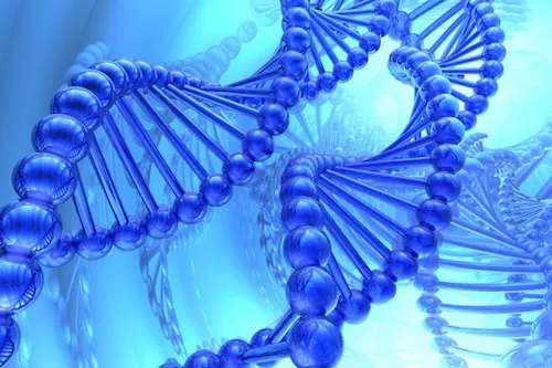 Un nouveau test sanguin utilise l’ADN pour détecter de nombreuses maladies