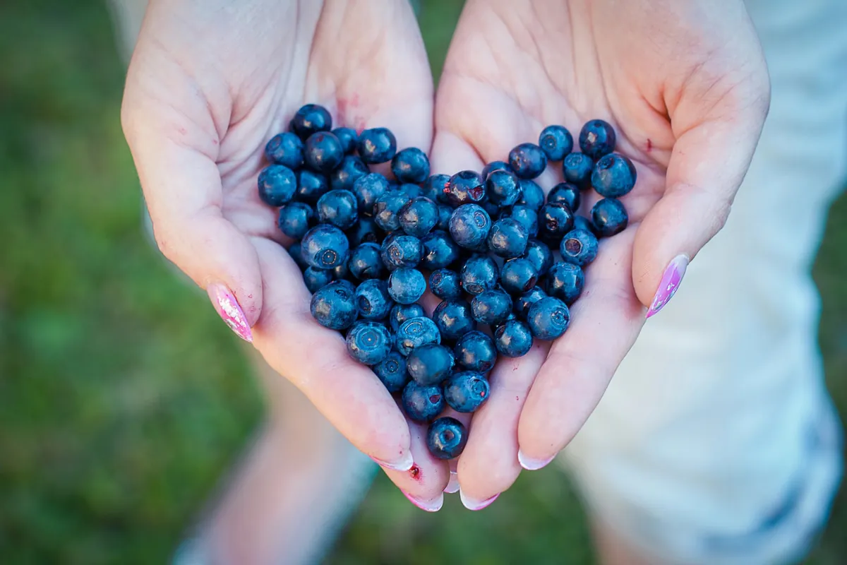 4 aliments pour améliorer la vue