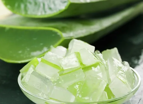 Aloe vera : le super-ingrédient que s'arrachent les secteurs de la beauté