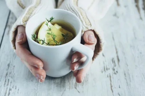 Quels sont les antibiotiques naturels qui boostent les défenses immunitaires ?