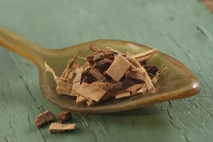 Cholestérol : cures d'aubier de tilleul