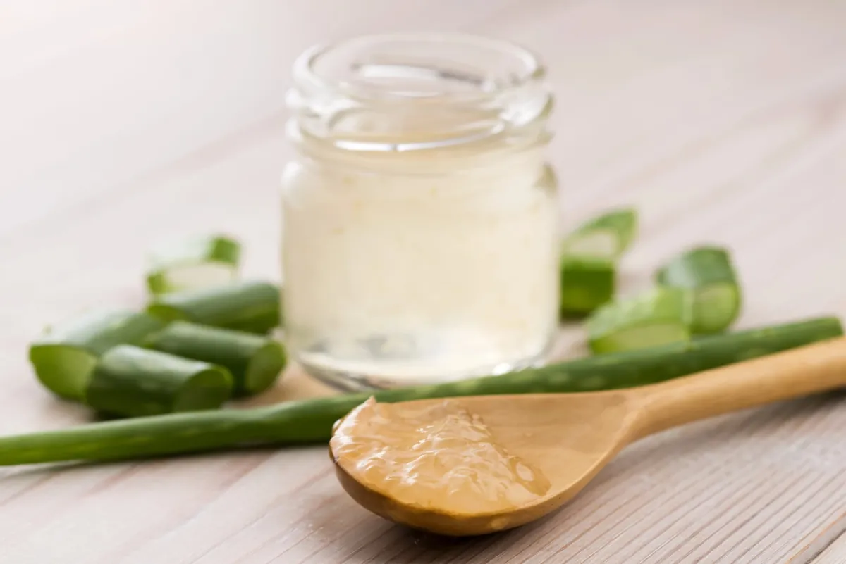 Quels sont les bienfaits de l'Aloe vera ?