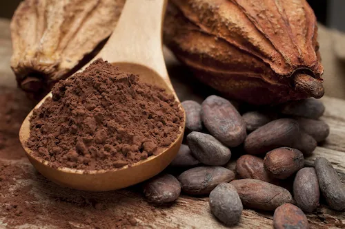 Le cacao pour prévenir le vieillissement cellulaire