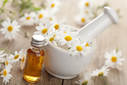 Zona : apaiser la douleur avec la camomille