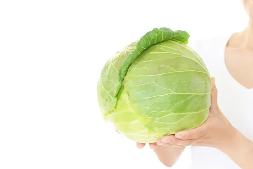Recette : cataplasme aux feuilles de chou