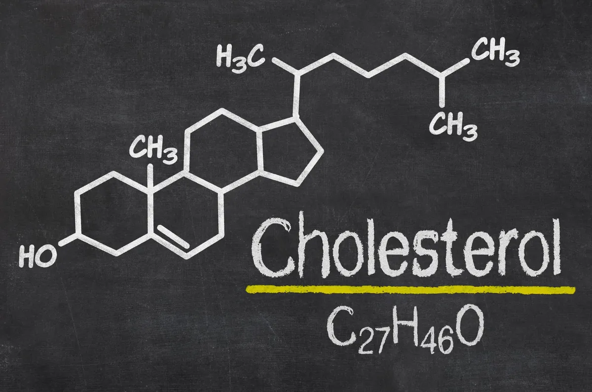 8 idées reçues sur le cholestérol