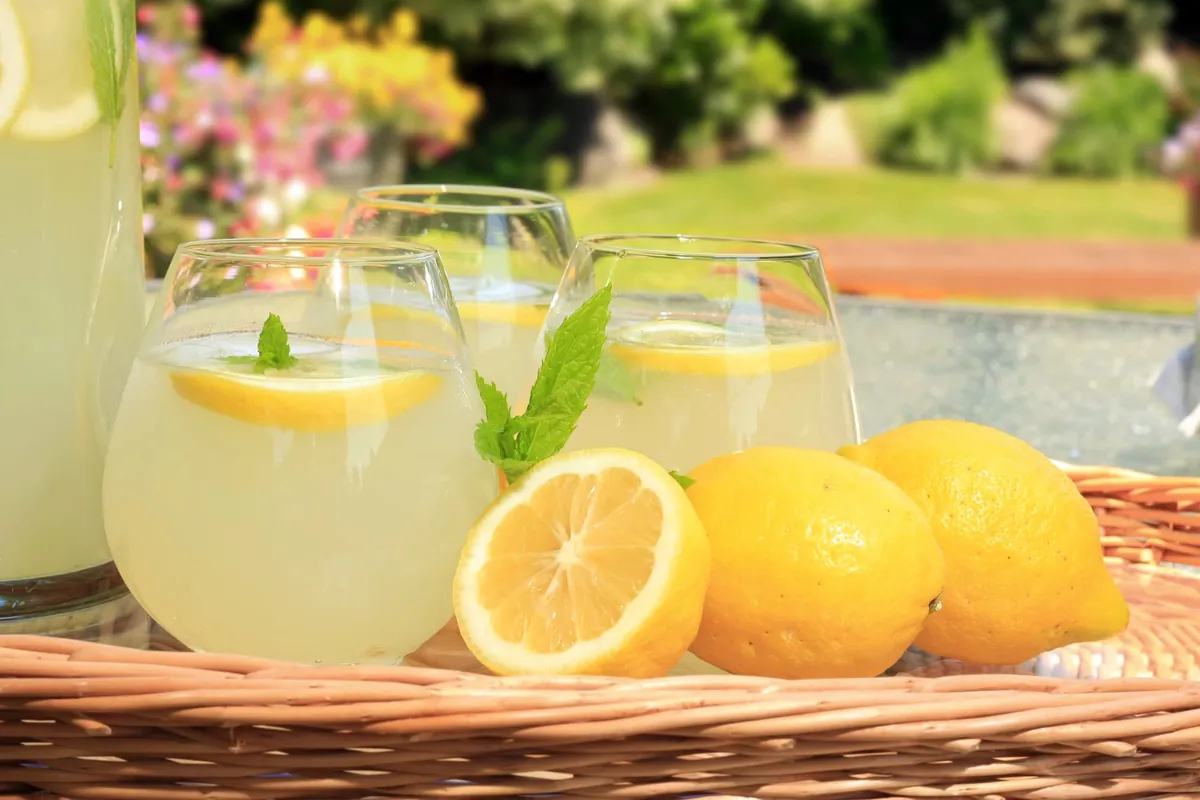 Comment faire une citronnade maison ?