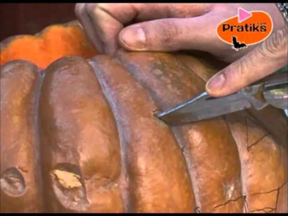 Citrouille pour Halloween : Décoration et découpage