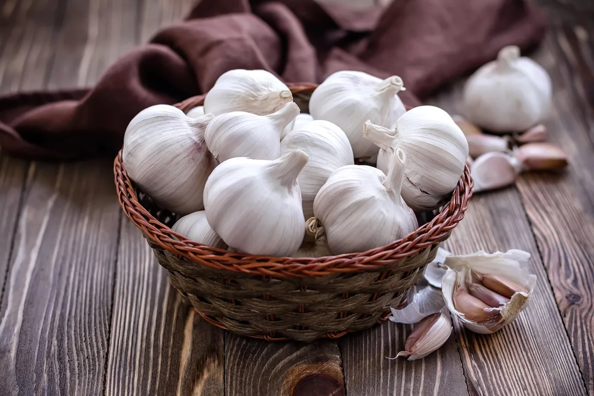 Comment conserver l'ail plus longtemps ? Astuces et méthodes efficaces