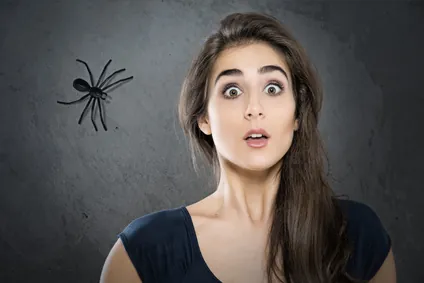 7 astuces contre les araignées
