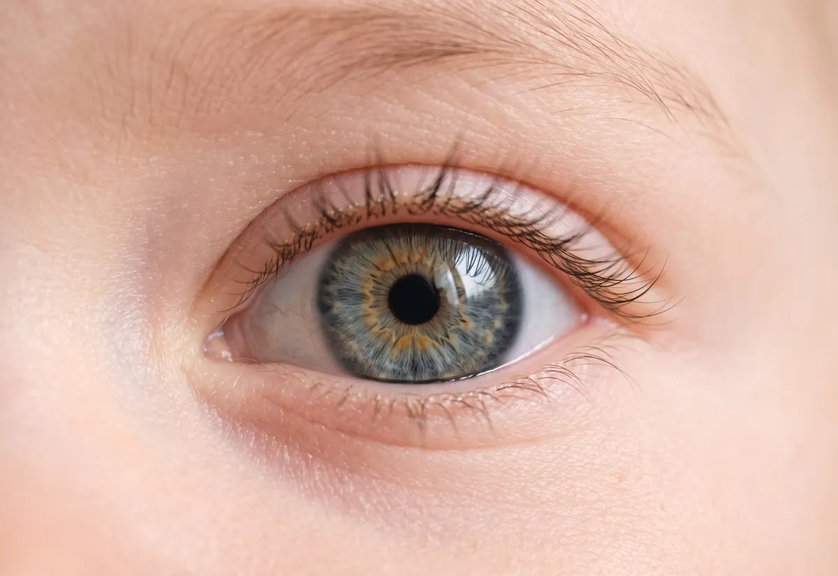 Comment prédire la couleur des yeux de votre bébé ?