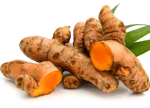 Curcuma