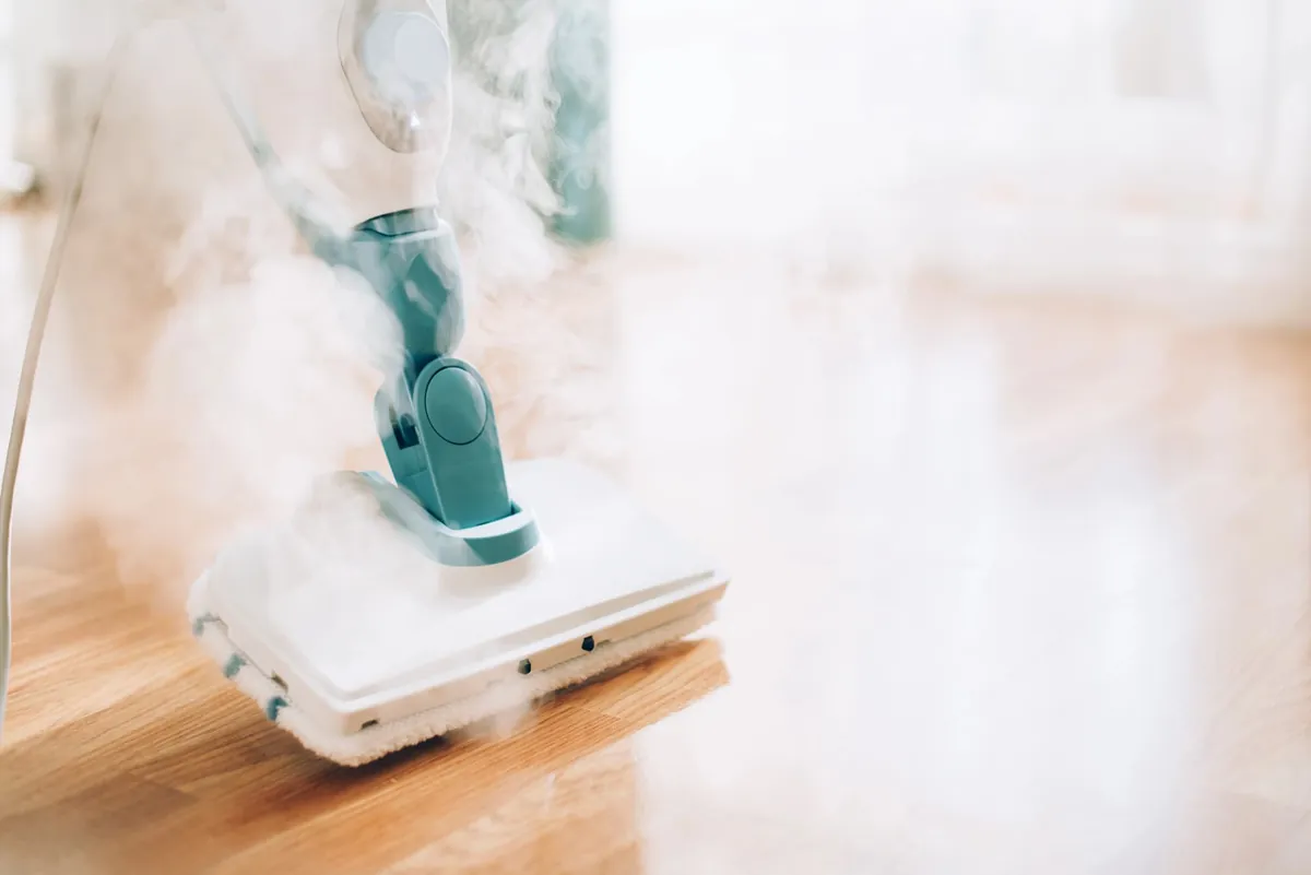Quel est le meilleur nettoyeur vapeur ?