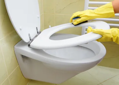 Désinfectant pour nettoyer les toilettes