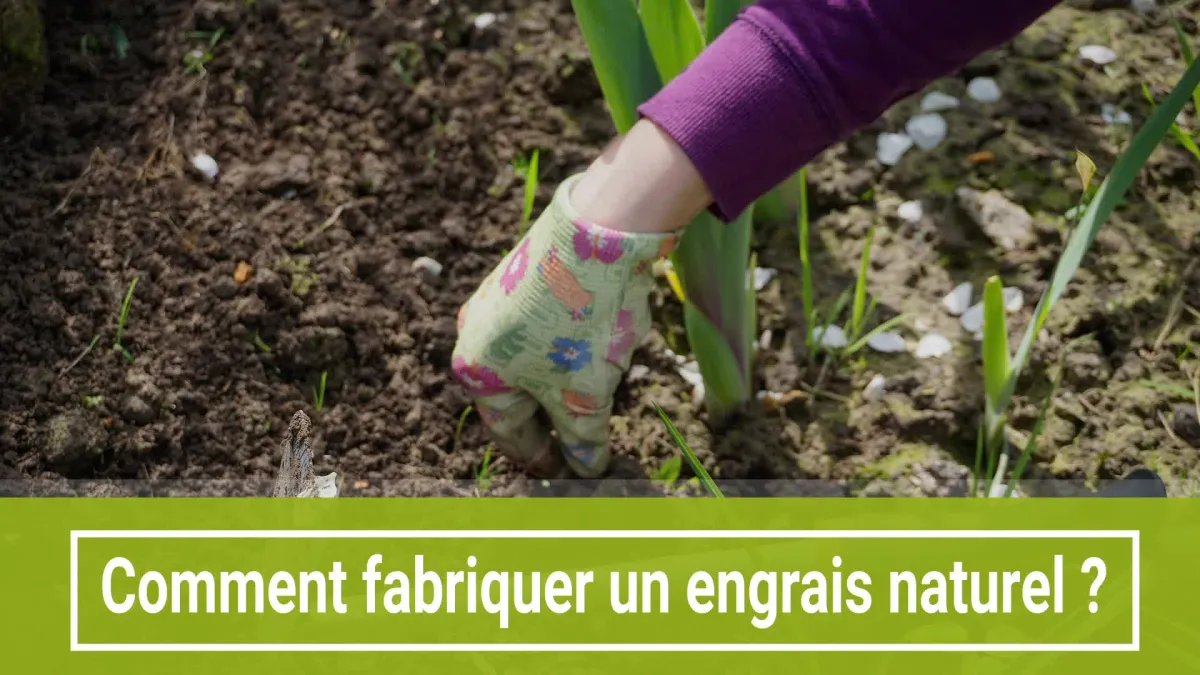 Engrais naturel : 4 recettes pour prendre soin de son jardin
