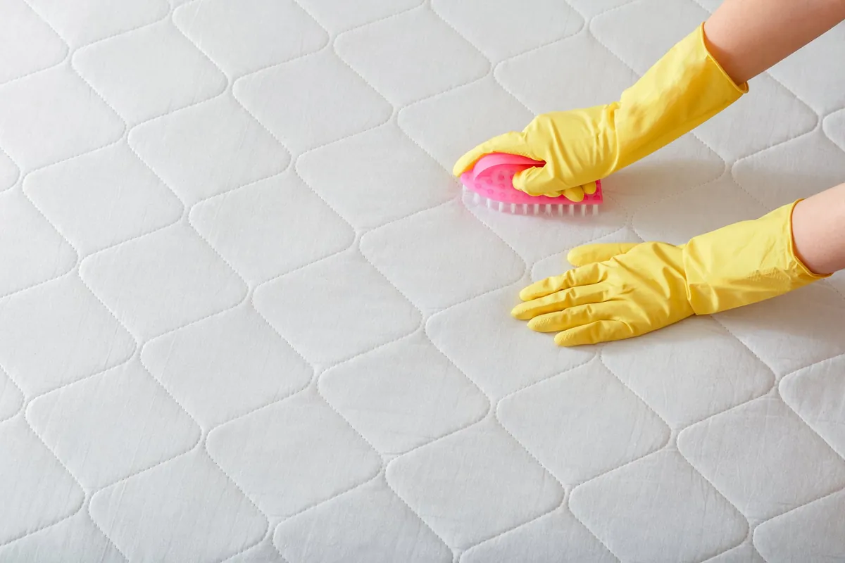 Nettoyage de matelas avec brosse et gants jaunes.