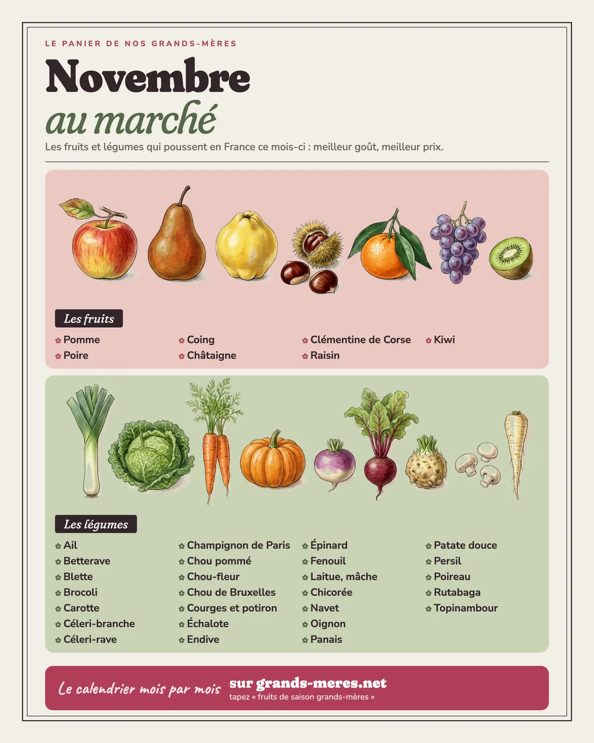 Novembre au marché, le panier de nos grands-mères : les fruits qui poussent en France en novembre, pomme, poire, coing, châtaigne, clémentine de Corse, raisin et kiwi ; les légumes en pleine saison, ail, betterave, blette, brocoli, carotte, céleri-branche, céleri-rave, champignon de Paris, chou pommé, chou-fleur, chou de Bruxelles, courges et potiron, échalote, endive, épinard, fenouil, laitue, mâche, chicorée, navet, oignon, panais, patate douce, persil, poireau, rutabaga et topinambour