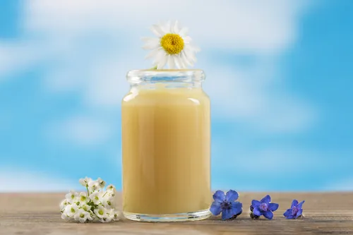 Renforcer son système immunitaire avec la gelée royale