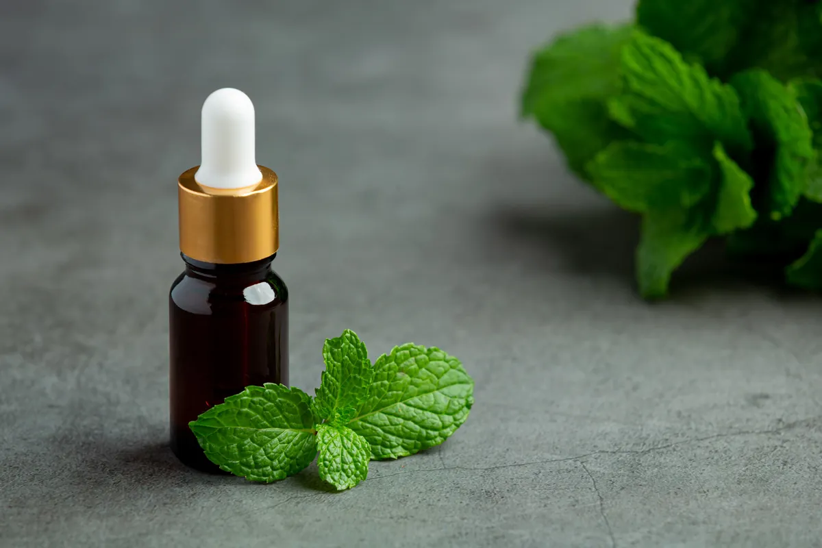 Flacon d'huile essentielle de menthe poivrée pour préparer un spray anti-moustique maison