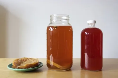 Kombucha : l’élixir aux nombreuses vertus thérapeutiques