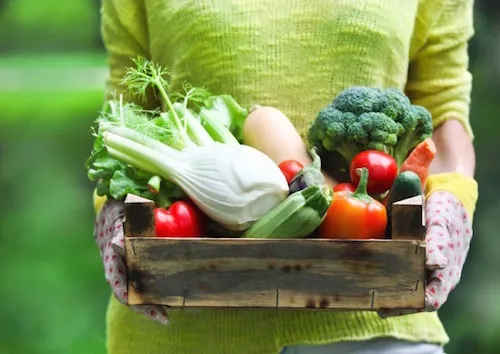 Les produits bio : toujours plus de succès auprès des Français