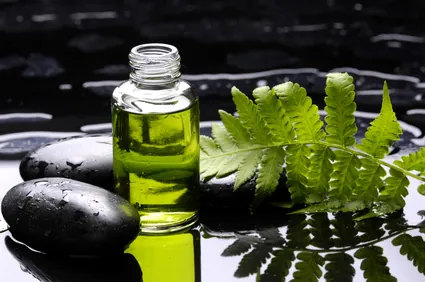 Anti pelliculaire aux huiles essentielles