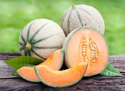 Comment choisir son melon ?