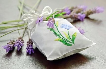 Lutter contre les mites des vêtements