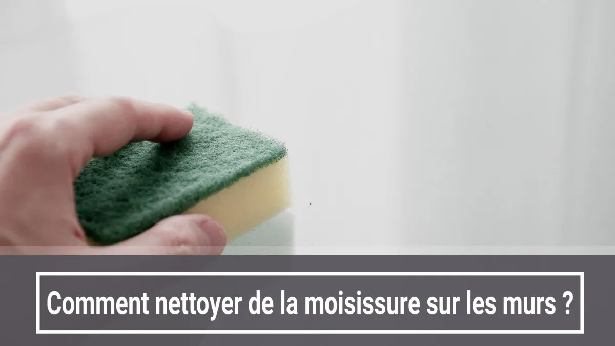 Moisissure sur les murs
