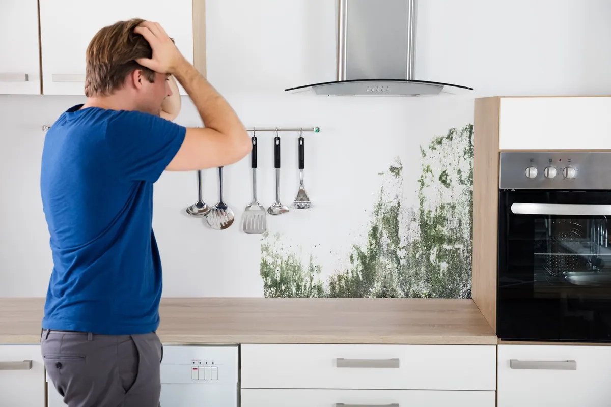 Moisissure : comment s'en débarrasser ?