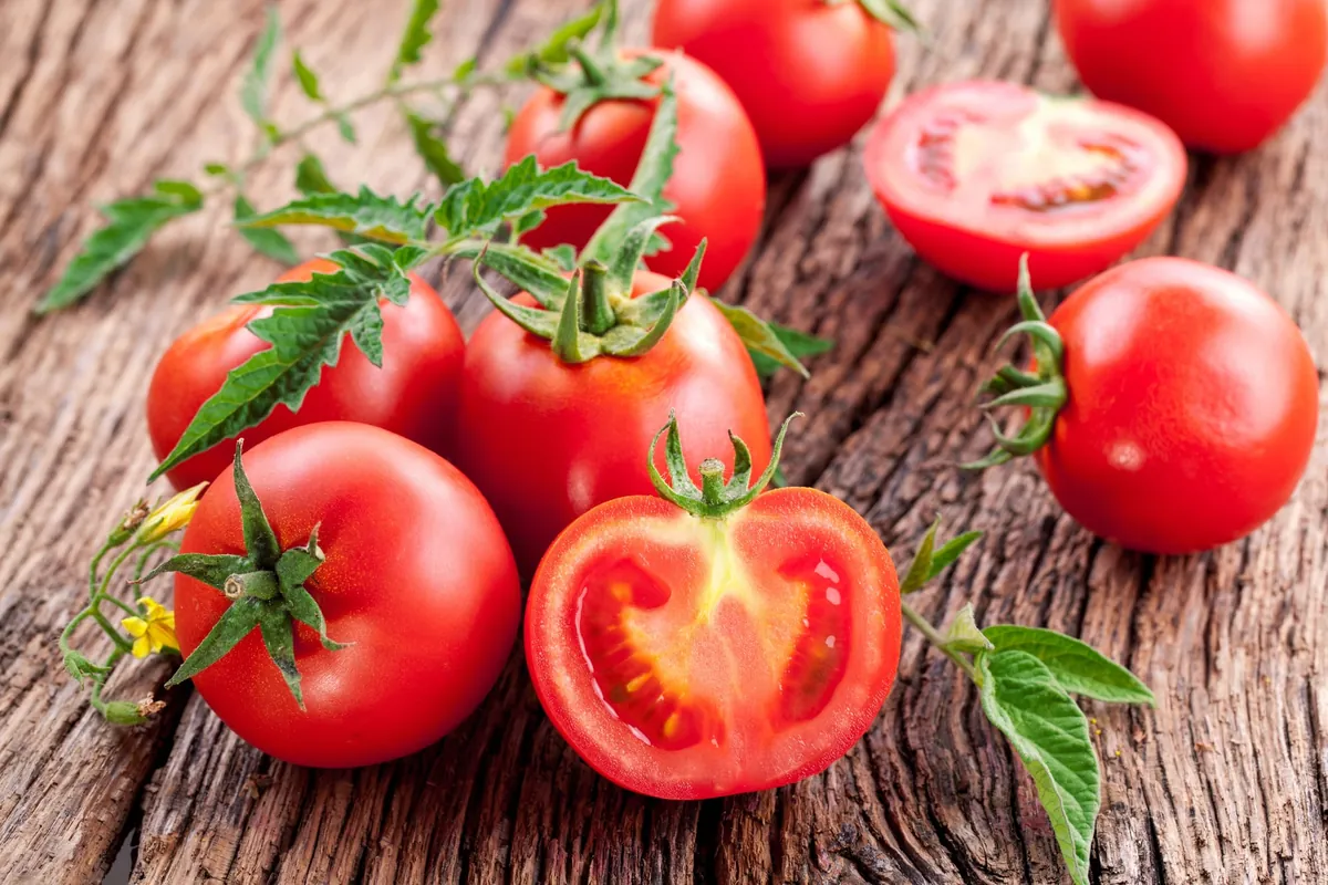 Monder des tomates