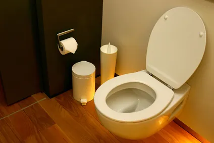 Produits ménagers : fabriquer son nettoyant wc