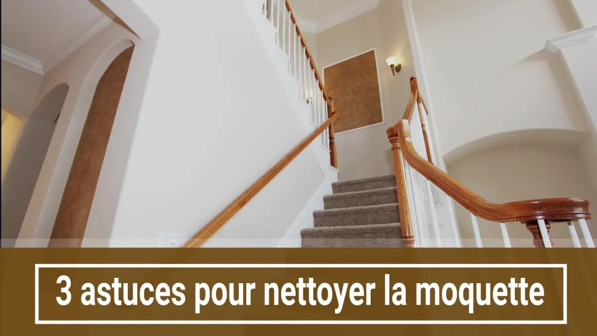 Nettoyer la moquette : 3 astuces de grands-mères