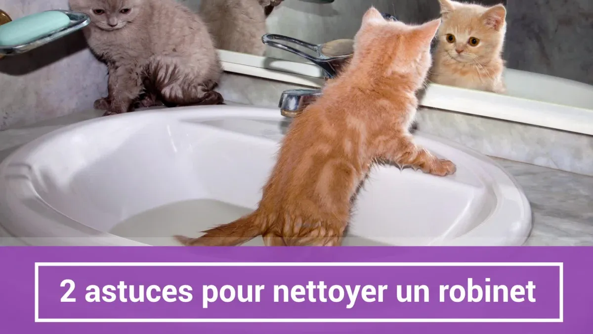 2 astuces pour nettoyer un robinet