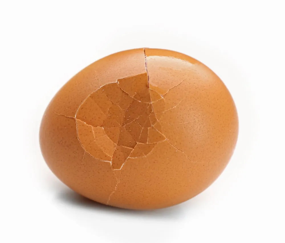 Œuf marron craquelé sur fond blanc.