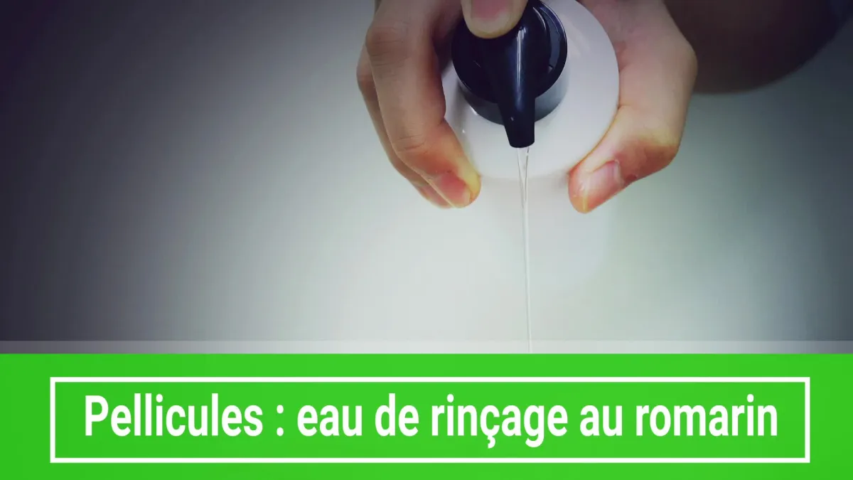 Pellicules : eau de rinçage au romarin