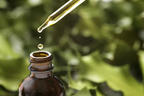 Des produits naturels à la place de certains antibiotiques