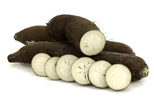 Tout savoir sur le radis noir