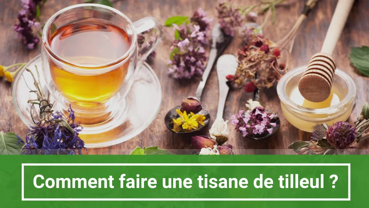 Recette de tisane de tilleul