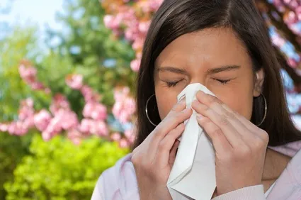 Rhume des foins : 7 remèdes naturels