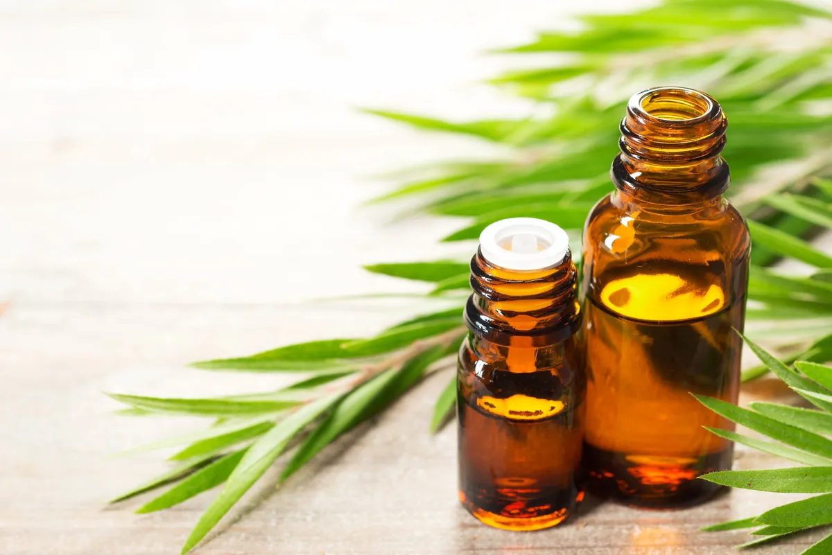 Santé : 7 vertus insoupçonnées de l’huile essentielle de Tea tree