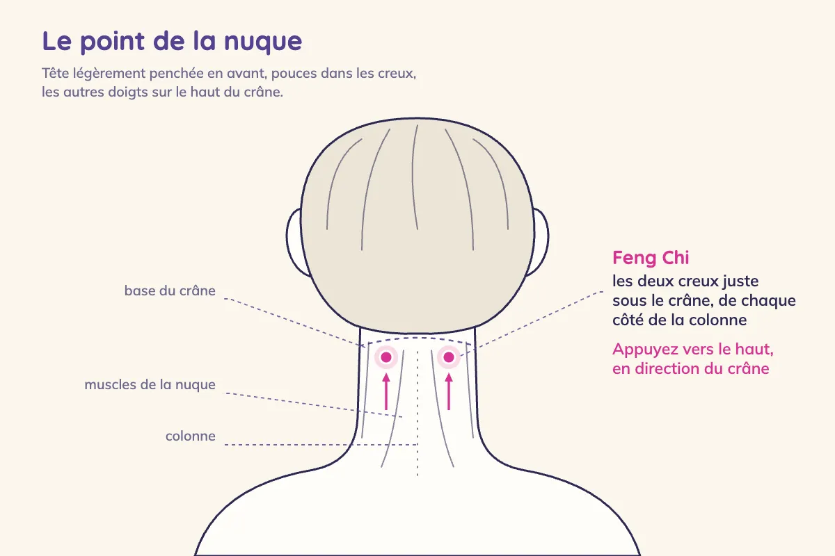 Schéma d'une tête vue de dos : sous la base du crâne, de part et d'autre de la colonne, deux creux entre les muscles de la nuque marquent le point Feng Chi, avec des flèches montrant qu'on appuie vers le haut