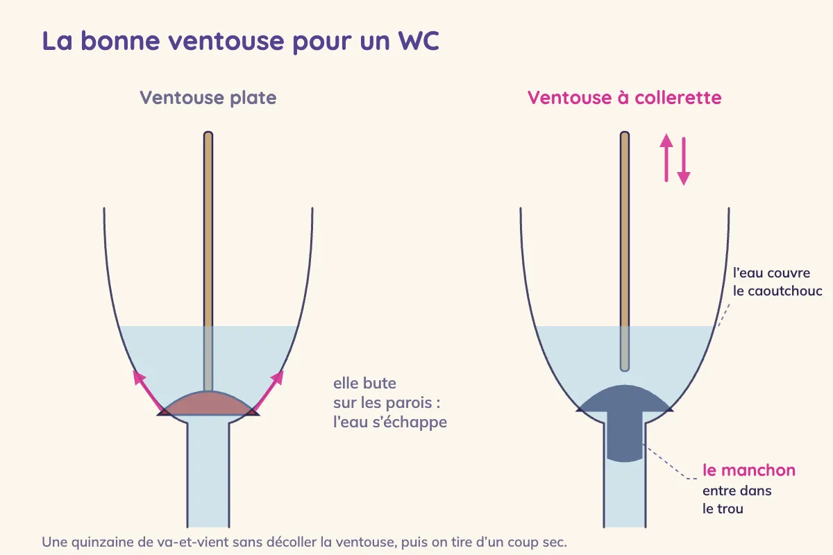 Schéma de deux cuvettes en coupe : la ventouse plate bute sur les parois et l'eau s'échappe par les côtés ; la ventouse à collerette, sous l'eau, engage son manchon dans le trou d'évacuation