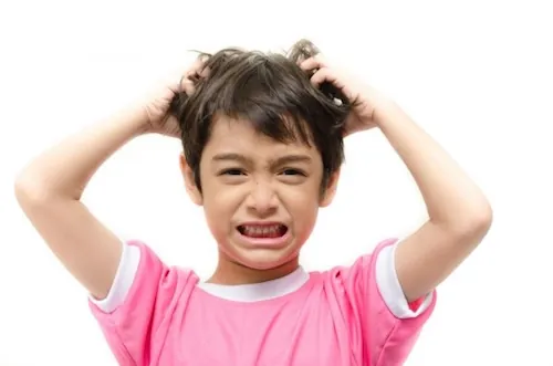 Anti-poux : mise en garde contre l'utilisation de produits pour animaux sur les enfants‎