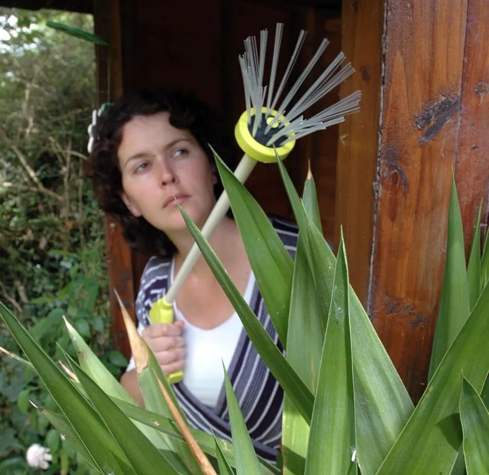 Spider Catcher