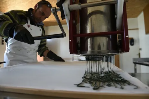 Spiruline : un super aliment en plein essor