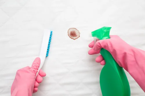 Nettoyage de tache sur matelas avec brosse et spray.