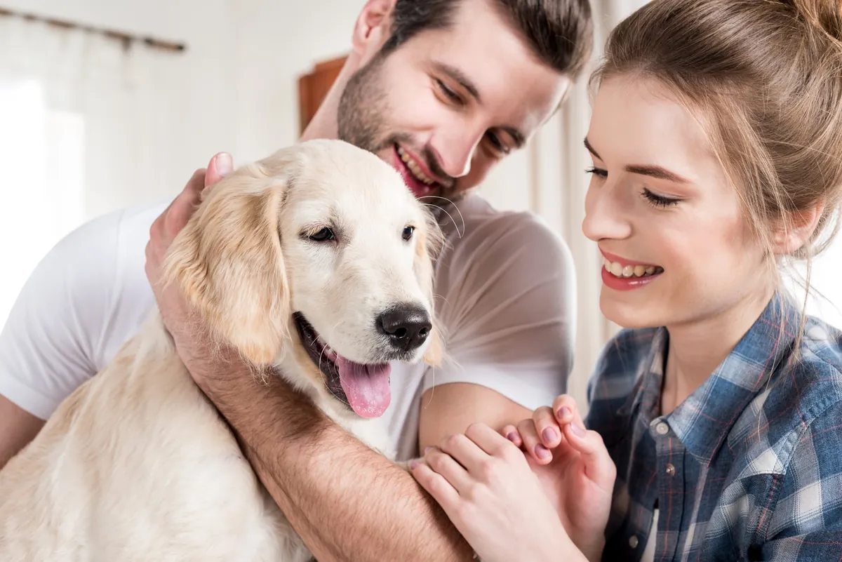 Tout savoir sur la toilette du chien