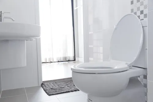 4 astuces pour des toilettes qui sentent bon
